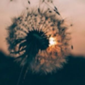 Meet your Posher, Isabel